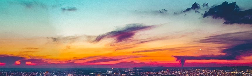 东海茶虫网_东海品茶